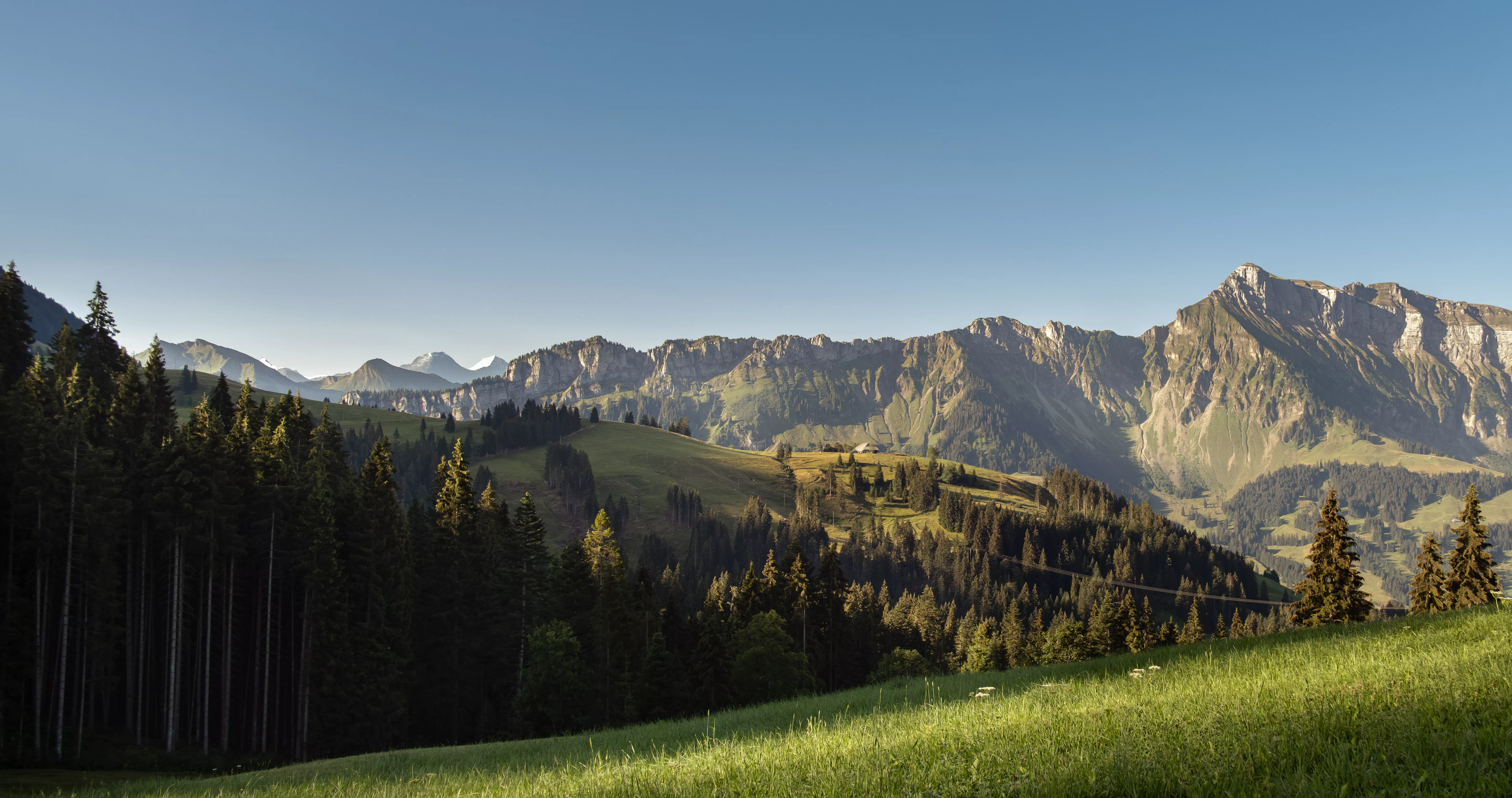 Natur verbunden und offen für gute ideen